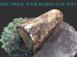 3d sawn of tree part 2 3D Model