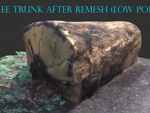 3d sawn of tree part 2 3D Model