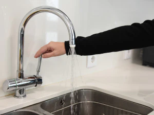 乌德皮特 3D 打印模型