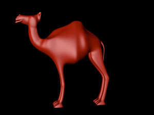 camel 3D Model