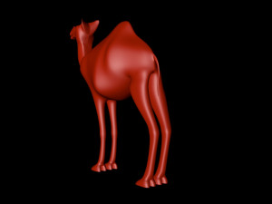 camel 3D Model