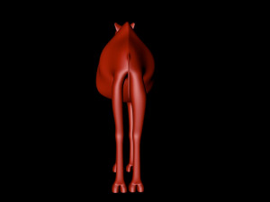 camel 3D Model