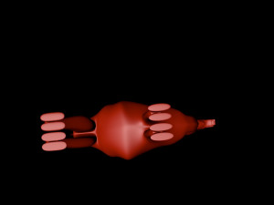 camel 3D Model