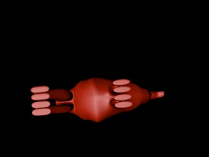 camel 3D Model