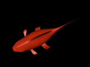 fish 3D 모델