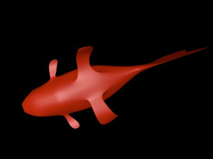 fish 3D 모델