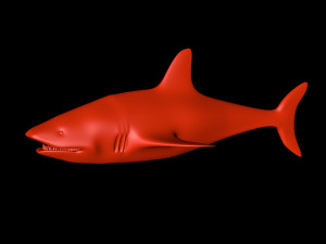 tiger shark 3D 모델