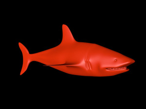 tiger shark Model 3D