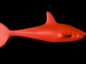 tiger shark Model 3D