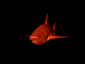 tiger shark Model 3D