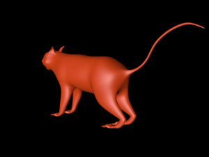 squirrel Model 3D