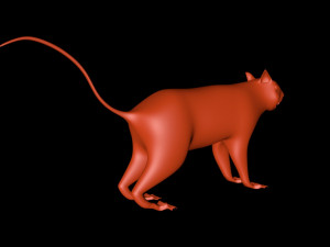 squirrel Model 3D