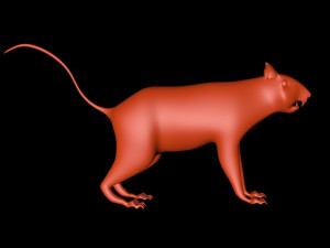 squirrel Model 3D