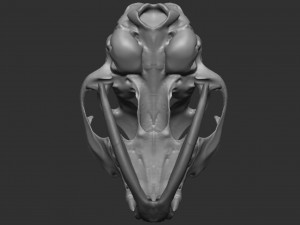 skull cat Modèle 3D