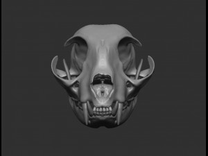 skull cat Modèle 3D