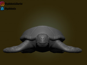 potsertoise Model Cetak 3D