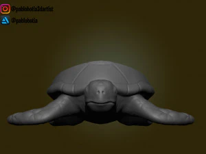 potsertoise 3D Print Model