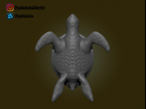 potsertoise Model Cetak 3D
