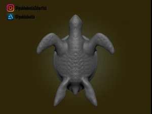 potsertoise 3D Print Model