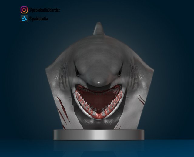 white shark bust Modelo de impresión 3D .c4d .max .obj .3ds .fbx .stl .blend 