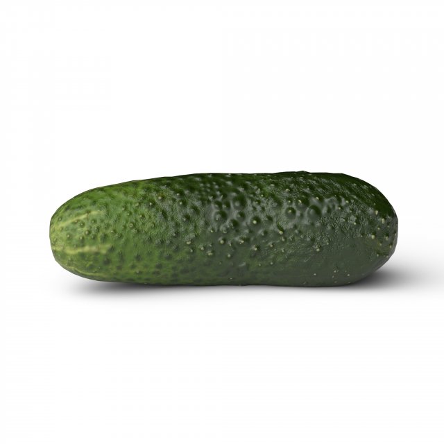 Cucumber 3D 模型 .c4d .max .obj .3ds .fbx .stl .blend 