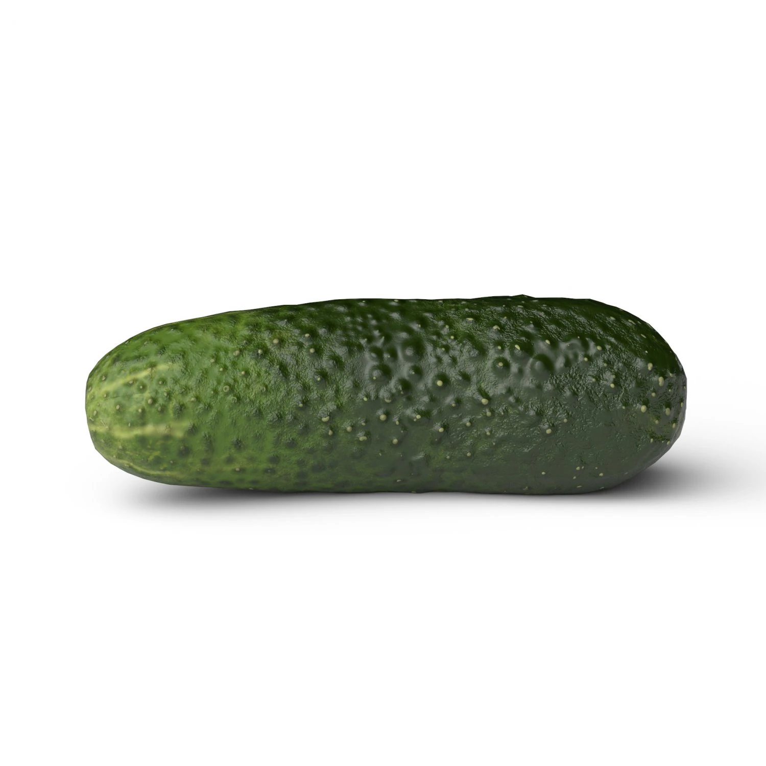 Cucumber 3D Model .c4d .max .obj .3ds .fbx .stl .blend 