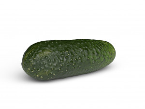 Cucumber 3D 模型