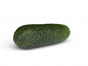 Cucumber 3D Model