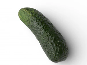 Cucumber 3D Model