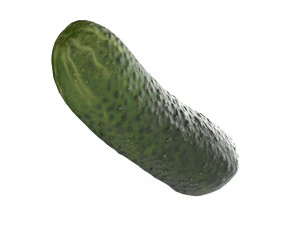 Cucumber 3D Model