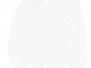 Cucumber 3D 模型