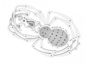 brooch spider and fly 3D Print Model