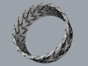 ring track 3D Принт Модель