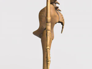 胎儿骨骼 - pbr 3D 模型