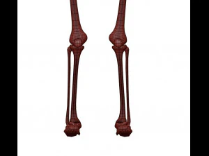 胎児の骨格 - pbr 3Dモデル