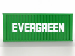 cont&ecirc;iner de transporte 20 p&eacute;s Modelo 3D