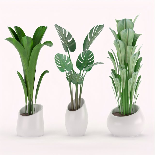 plants collection 03 3D Model .c4d .max .obj .3ds .fbx .stl .blend 
