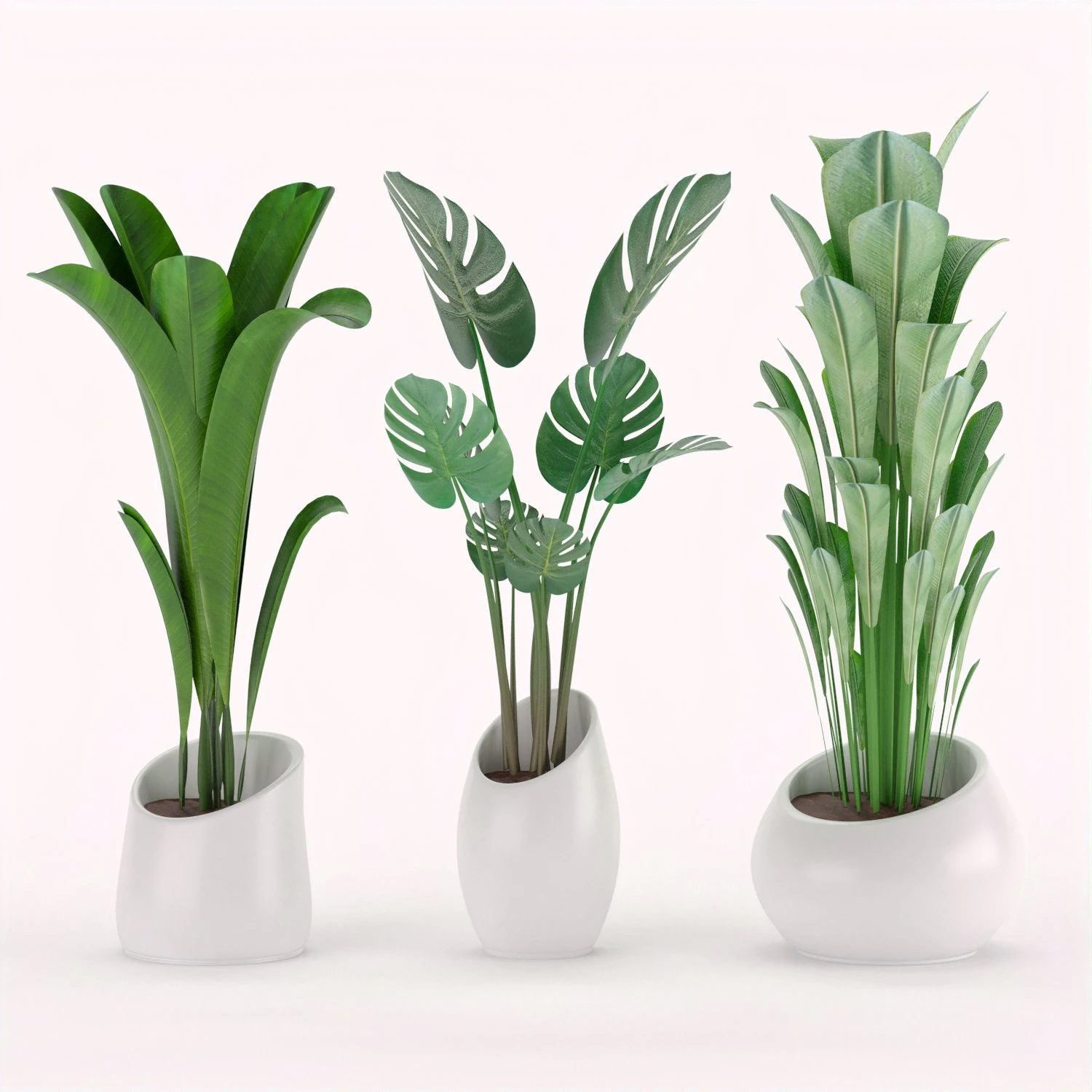 plants collection 03 3D Model .c4d .max .obj .3ds .fbx .stl .blend 