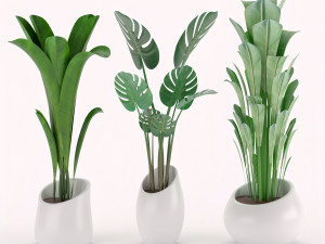 plants collection 03 3D Model