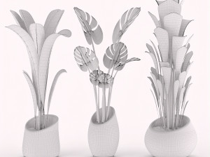 plants collection 03 3D Model