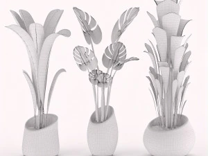 plants collection 03 3D Model