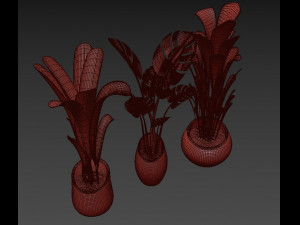 plants collection 03 3D Model