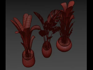 plants collection 03 3D Model