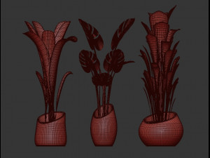 plants collection 03 3D Model