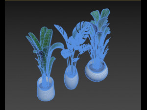 plants collection 03 3D Model