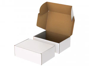 Caixa de Cart&atilde;o FEFCO0427 - 002 Modelo 3D