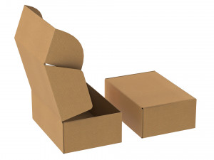 Cardboard Box FEFCO0427 - 001 Model 3D