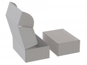 Cardboard Box FEFCO0427 - 001 Model 3D