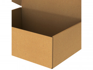 Cardboard Box FEFCO0427 - 001 Model 3D