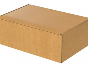 Cardboard Box FEFCO0427 - 001 Model 3D